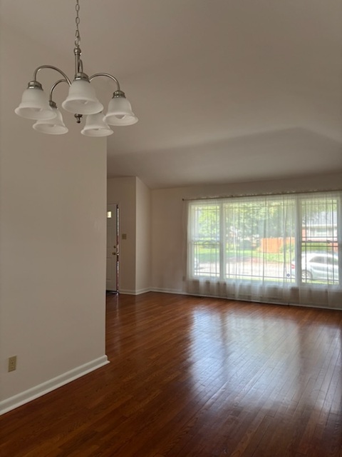 Gallery Photo 7